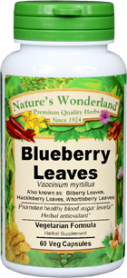Blueberry Leaves Capsules - 525 mg, 60 Veg Capsules (Vaccinium myrtillus)