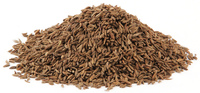 Caraway Seed, Organic Whole, 1 oz (Carum carvi)