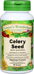 Celery Seed Capsules - 625 mg, 60 Veg Capsules (Apium graveolens)