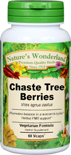 Chaste Tree Berries Capsules - 550 mg, 60 Veg Capsules (Vitex agnus-castus)