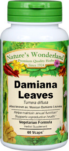 Damiana Leaves Capsules - 475 mg, 60 Veg Capsules (Turnera diffusa)