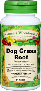 Dog Grass Root (Couch Grass) Capsules, Organic - 550 mg, 60 Veg Capsules (Triticum repens)