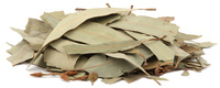Eucalyptus Leaves, Whole, Organic 16 oz (Eucalyptus globulus)