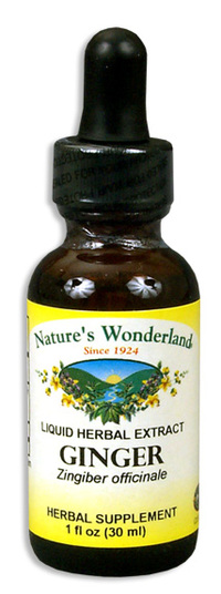 Ginger Root Extract, 1 fl oz / 30ml (Nature's Wonderland)