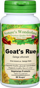 Goat's Rue Capsules - 375 mg, 60 Veg Capsules (Galega officinalis)