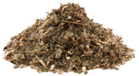 Goldenrod Herb, Cut, 1 oz (Solidago odora)