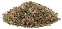 Ground Ivy Herb, Organic, Cut 16 oz (Glechoma hederacea)