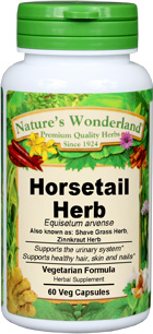 Shave Grass Herb Capsules - 400 mg, 60 Veg Capsules (Equisetum arvense)