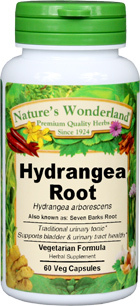 Hydrangea Root Capsules - 475 mg, 60 Veg Capsules (Hydrangea arborescens)