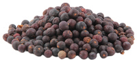 Juniper Berries, Whole, 1 oz (Juniperus communis)