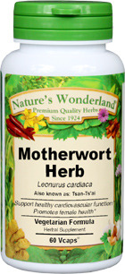 Motherwort Capsules - 375 mg, 60 Veg Capsules  (Leonurus cardiaca)