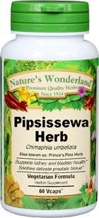 Prince's Pine Herb Capsules - 625 mg, 60 Veg Capsules (Chimaphila umbellata)