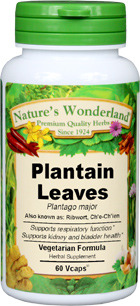 Plantain Leaf Capsules, Organic - 475 mg, 60 Veg Capsules (Plantago major)