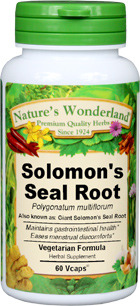 Giant Solomon Seal Root - 500 mg, 60 Veg Capsules (Polygonatum odoratum)