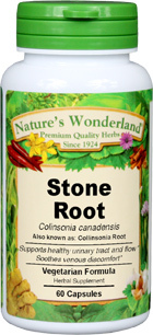 Stone Root Capsules - 475 mg, 60 Veg Capsules (Collinsonia canadensis)