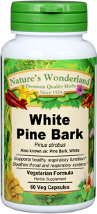 White Pine Bark Capsules - 400 mg, 60 Veg Capsules (Pinus strobus)