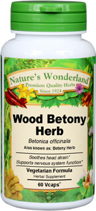 Wood Betony Herb Capsules, Organic - 350 mg, 60 Veg Caps each (Betonica officinalis)