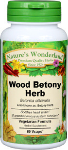 Wood Betony Capsules - 350 mg, 60 Veg Caps (Betonica officinalis)
