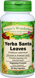 Yerba Santa Leaves - 500 mg, 60 Veg Capsules (Eriodictyon californicum)