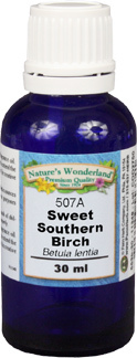 Birch Essential Oil, Sweet Southern - 30 ml (Betula lenta)