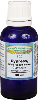 Cypress, Mediterranean Oil - 30 ml (Cupressus sempervirens)