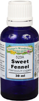 Fennel Essential Oil, Sweet  - 30 ml (Foeniculum vulgare)