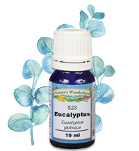 FREE GIFT: Eucalyptus Essential Oil - 10 ml (Eucalyptus globulus)
