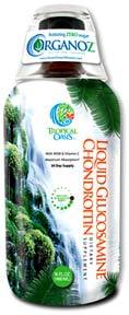 Glucosamine Chondroitin, MSM Liquid, 16 fl oz / 480 ml (Tropical Oasis)