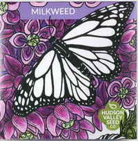 Milkweed Seeds, 50 seeds (Hudson Valley Seed Co.)