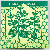 Lemon Balm Seeds, 200 seeds (Hudson Valley Seed Co.)