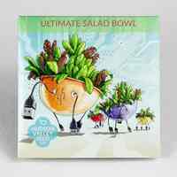 Ultimate Salad Bowl Seeds, 500 seeds (Hudson Valley Seed Co.)