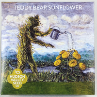 Teddy Bear Sunflower Seeds, 100 seeds (Hudson Valley Seed Co.)