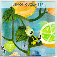 Lemon Cucumber Seeds, 25 seeds  (Hudson Valley Seed Co.)
