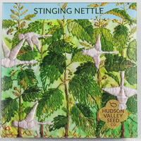 Stinging Nettle Seeds, 100 seeds (Hudson Valley Seed Co.)