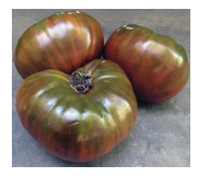 Paul Robeson Tomato Seeds, 25 seeds (Hudson Valley Seed Co.)
