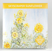 Skyscraper Sunflower Seeds, 50 seeds (Hudson Valley Seed Co.)