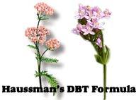 Haussmann's DBT Formula #1, 4 oz (Nature's Wonderland)