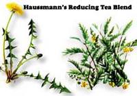 CLEARANCE: Haussmann's Reducing Tea Formula  #6, 4 oz (Nature's Wonderland)
