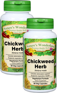 Chickweed Herb Capsules - 475 mg, 60 Veg Capsules each (Stellaria media)