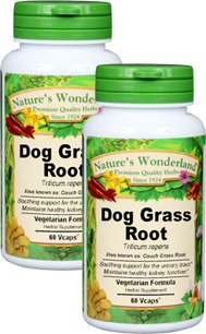 Dog Grass Root (Couch Grass) Capsules, Organic - 550 mg, 60 Veg Capsules each (Triticum repens)
