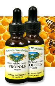 Bee Propolis Extract, 1 fl oz / 30 ml each (Nature's Wonderland)