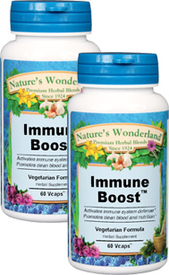Immune Boost&#153; - 600 mg, 60 Veg Capsules each  (Nature's Wonderland)