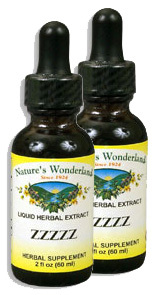 ZZZZZ Liquid Extract - Sleep Blend, 1 fl oz / 30 ml each (Nature's Wonderland)