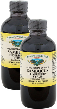 Sambucus Elderberry Syrup 4oz 