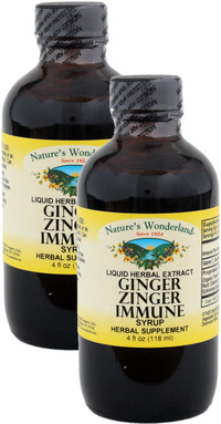 Ginger Zinger Immune Syrup, 4 fl oz each (Nature's Wonderland)