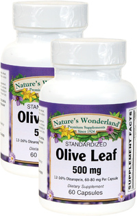Olive Leaf Standardized Extract 500 mg, 60 Capsules each (Nature's Wonderland)