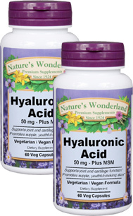 Hyaluronic Acid with MSM - 50 mg, 60 Veg Capsules each  (Nature's Wonderland)