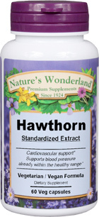 Hawthorn Standardized Extract - 300 mg, 60 Veg Capsules (Nature's Wonderland)