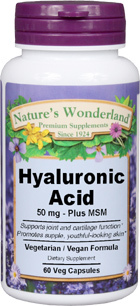 Hyaluronic Acid With MSM, 60 Veg Capsules (Nature's Wonderland)
