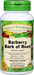 Barberry Bark of Root Capsules, Organic - 400 mg, 60 Veg Capsules (Berberis vulgaris)